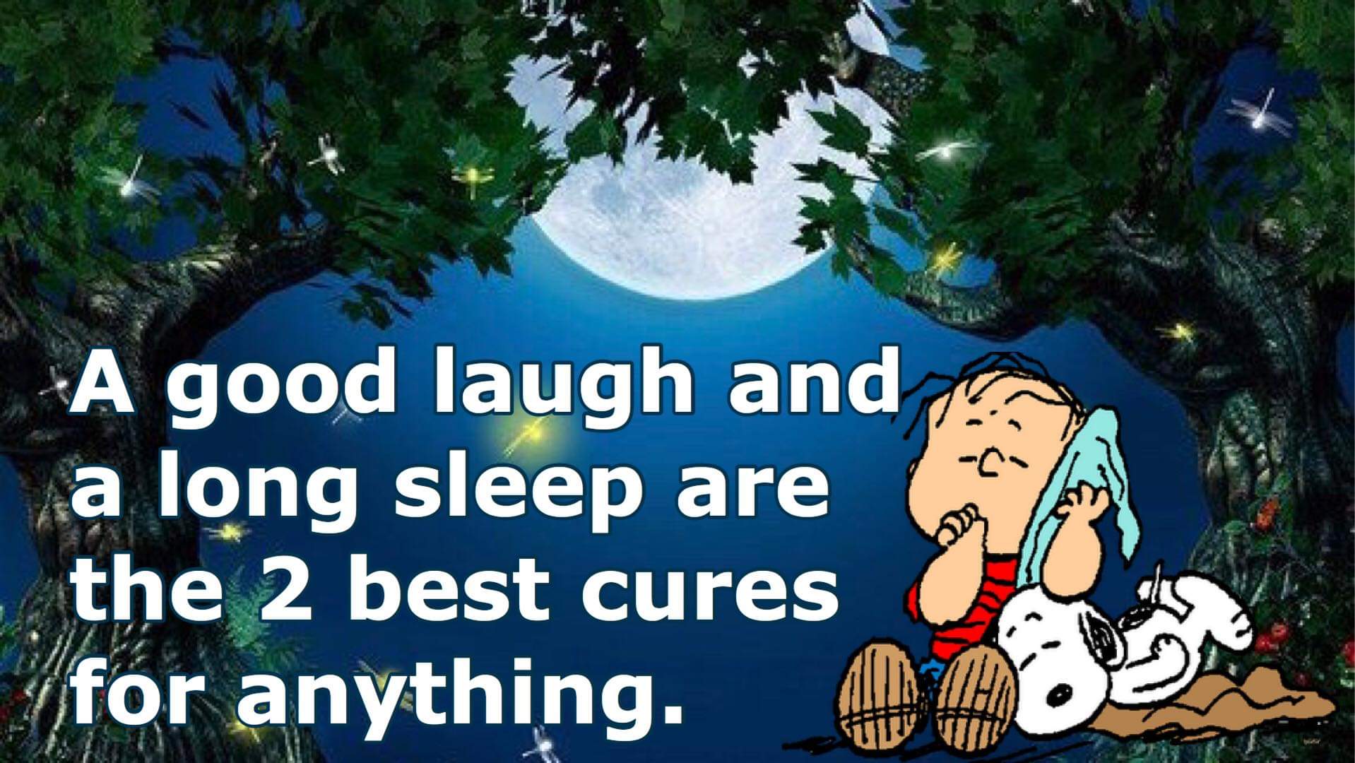 A good laugh and a long sleep are the 2 best cures for anything