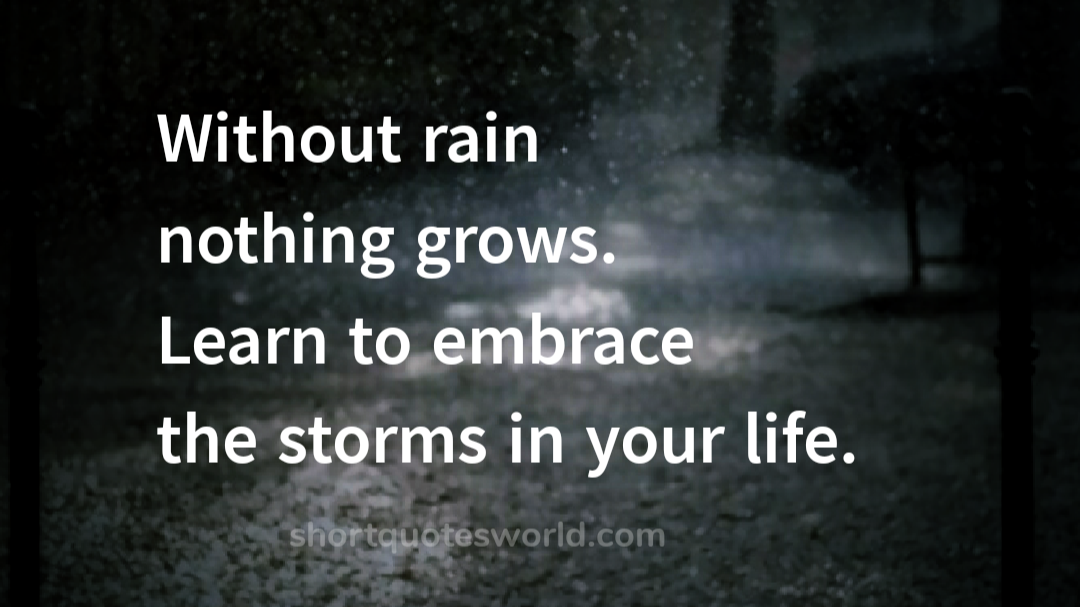 Embrace the storms in your life